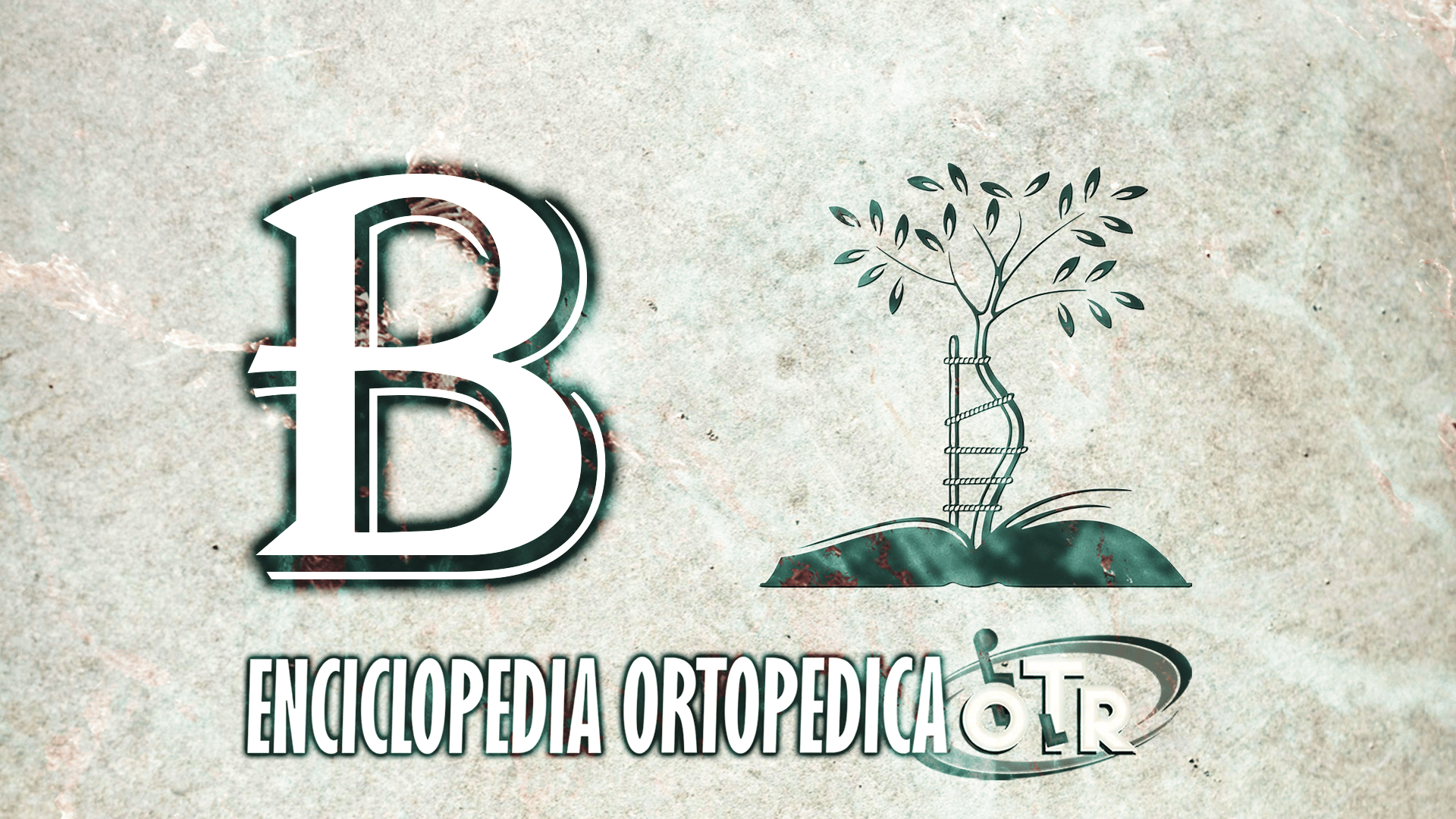 lettera-b-enciclopedia-ortopedica-otr